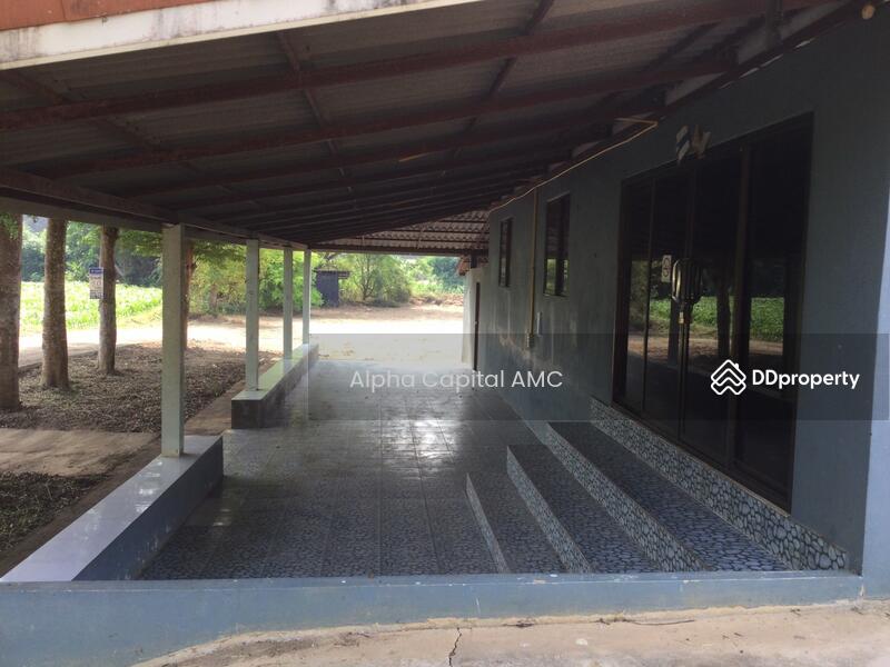 Sale Land with Building 2-ST residential building L4_2_0374_G01, Lampang, หมู่ที่ 5 ถนนบ้านฮ่างวังแก้ว-น้ำตกวังแก้ว (สบ.4015), Wang Kaeo, Wang Nua, Lampang, 1 Bedroom, 1,330 sqm, Single Detached House For Sale, by วารุณี จำรูญนุรักษ์, 11416842 - DDproperty.com