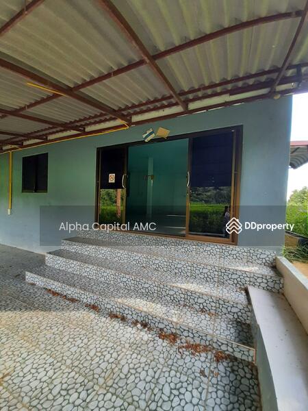 ขายที่ดิน พร้อมสิ่งปลูกสร้าง บ้านพักอาศัยปูน 2 ชั้น L4_2_0374_G01, ลำปาง, หมู่ที่ 5 ถนนบ้านฮ่างวังแก้ว-น้ำตกวังแก้ว (สบ.4015), วังแก้ว, วังเหนือ, ลำปาง, 1,330 ตร.ม., บ้านเดี่ยว ขาย, โดย วารุณี จำรูญนุรักษ์, 11416842 - DDproperty.com