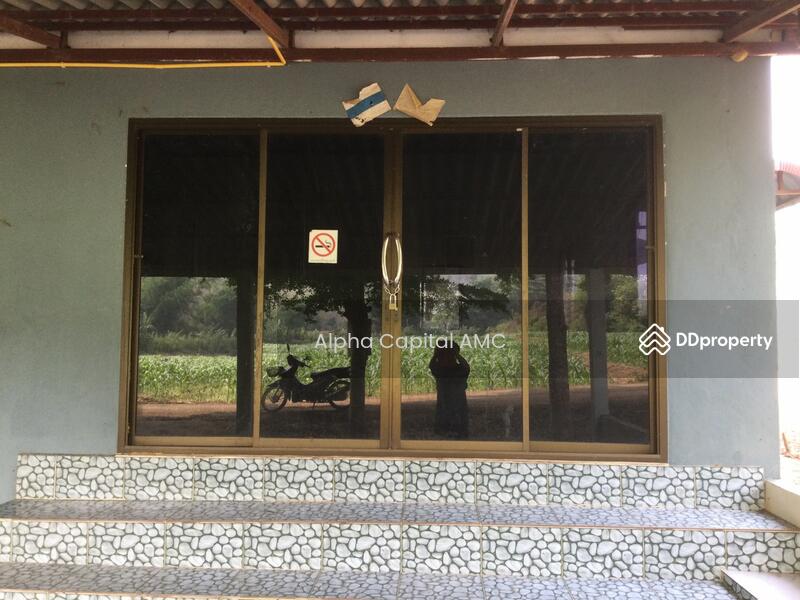 Sale Land with Building 2-ST residential building L4_2_0374_G01, Lampang, หมู่ที่ 5 ถนนบ้านฮ่างวังแก้ว-น้ำตกวังแก้ว (สบ.4015), Wang Kaeo, Wang Nua, Lampang, 1 Bedroom, 1,330 sqm, Single Detached House For Sale, by วารุณี จำรูญนุรักษ์, 11416842 - DDproperty.com