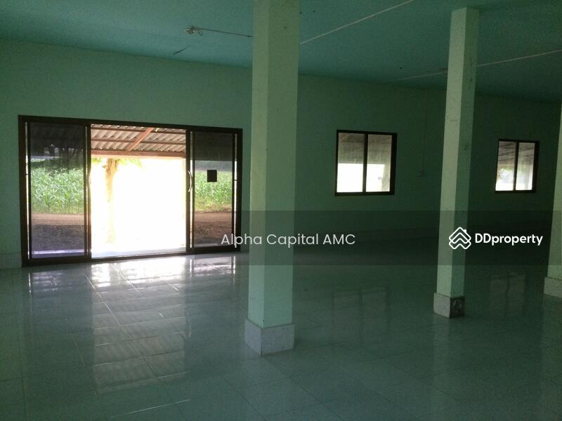 ขายที่ดิน พร้อมสิ่งปลูกสร้าง บ้านพักอาศัยปูน 2 ชั้น L4_2_0374_G01, ลำปาง, หมู่ที่ 5 ถนนบ้านฮ่างวังแก้ว-น้ำตกวังแก้ว (สบ.4015), วังแก้ว, วังเหนือ, ลำปาง, 1,330 ตร.ม., บ้านเดี่ยว ขาย, โดย วารุณี จำรูญนุรักษ์, 11416842 - DDproperty.com