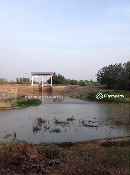 ที่ดินติดถนนเลียบคลอง14ฝั่งตะวันออก พื้นที่ 6-2-46ไร่ ใกล้วัดบางปลากดและอทิตยากอล์ฟคลอง14, Nakhon Nayok, ถนนเลียบคลอง14ฝั่งตะวันออก, Bang Pla Kot, Ongkharak, Nakhon Nayok, , 1,600 sqm, Land For Sale, by ศุภลักษณ์ ศรีรัตนธรรม, 11417050 - DDproperty.com