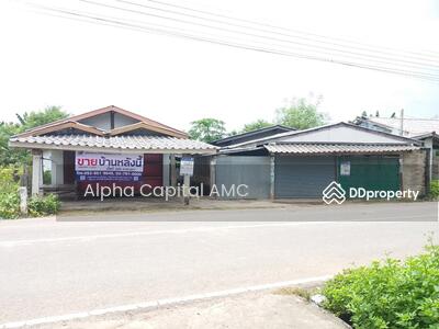 ขาย - ขายบ้านพักอาศัยชั้นเดียว 2 หลัง L4_1_0223_G01, พะเยา