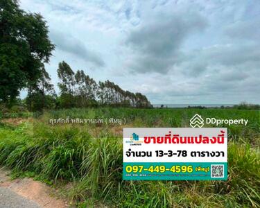 ขาย - ขายที่ดินแปลงสวย ตำบลท่าบุญมี อำเภอเกาะจันทร์ จังหวัดชลบุรี, ชลบุรี