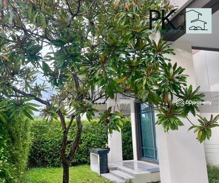 11R0347 This house for rent 3bedroom 3bathroom 50,000/month at kohkaew have fully furnished, ภูเก็ต, เกาะแก้ว, เมืองภูเก็ต, ภูเก็ต, 200 ตร.ม., บ้านเดี่ยว ให้เช่า, โดย PK LIFE Property, 11418616 - DDproperty.com
