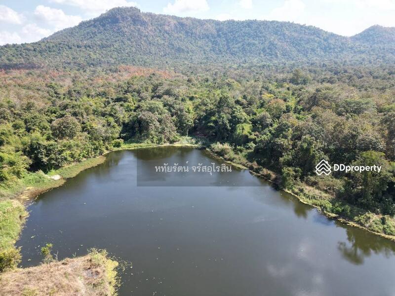 For Sale - Golden teak plantation for sale, Li District, Lamphun., Lamphun