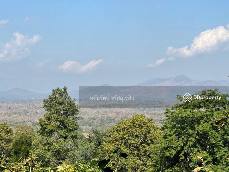 For Sale - Golden teak plantation for sale, Li District, Lamphun., Lamphun