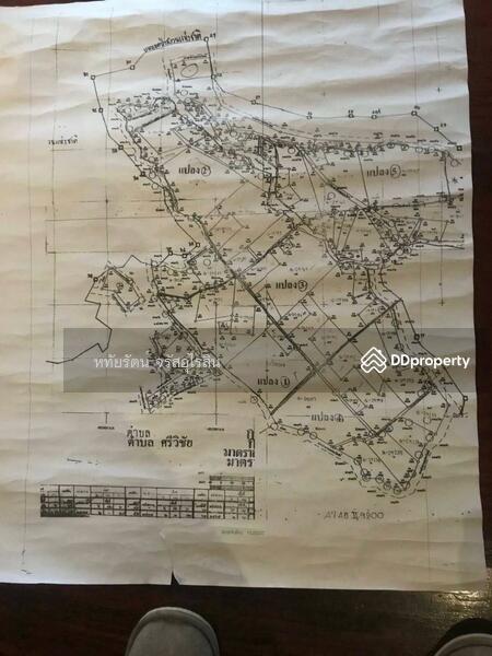 For Sale - Golden teak plantation for sale, Li District, Lamphun., Lamphun