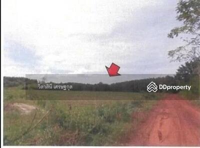 ขาย - ที่ดิน 27 ไร่ ถ.อ่างเก็บน้ำสียัด-หนองคอก ลาดกระทิง สนามชัยเขต ฉะเชิงเทรา, ฉะเชิงเทรา