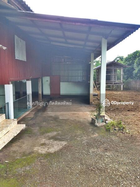 ขาย - ขายบ้านไม้ชั้นเดียว L4_8_0376_G01, พะเยา