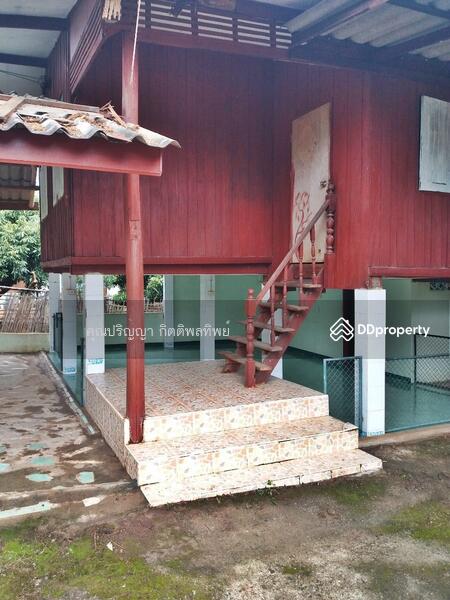 ขาย - ขายบ้านไม้ชั้นเดียว L4_8_0376_G01, พะเยา