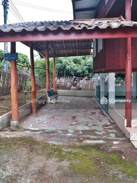 ขาย - ขายบ้านไม้ชั้นเดียว L4_8_0376_G01, พะเยา