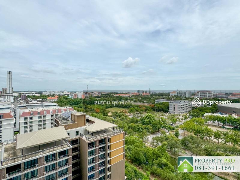 For Sale - Common TU, Pathum Thani