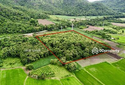 ขาย - ที่ดินจังหวัดตาก พร้อมต้นสักอายุ30ปี 1000 ต้น ต.วังหิน อ.เมืองตาก, ตาก