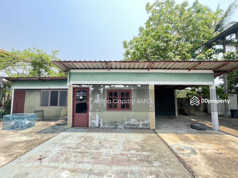 ที่ดินพร้อมสิ่งปลูกสร้าง บ้านพักอาศัยตึกชั้นเดียว L4_6_0340_G01, Tak, Nam Rum, Muang Tak, Tak, 3 Bedrooms, 394 sqm, Single Detached House For Sale, by วารุณี จำรูญนุรักษ์, 11421078 - DDproperty.com