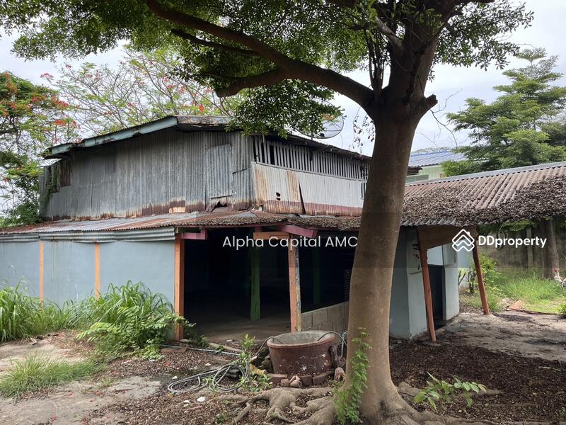 บ้านพักอาศัยครึ่งตึกครึ่งไม้ 2 ชั้น L4_1_0571_G01, สิงห์บุรี, ท่างาม, อินทร์บุรี, สิงห์บุรี, 212 ตร.ม., บ้านเดี่ยว ขาย, โดย วารุณี จำรูญนุรักษ์, 11421148 - DDproperty.com