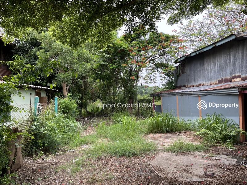 บ้านพักอาศัยครึ่งตึกครึ่งไม้ 2 ชั้น L4_1_0571_G01, สิงห์บุรี, ท่างาม, อินทร์บุรี, สิงห์บุรี, 212 ตร.ม., บ้านเดี่ยว ขาย, โดย วารุณี จำรูญนุรักษ์, 11421148 - DDproperty.com
