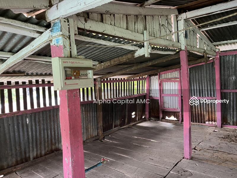 บ้านพักอาศัยครึ่งตึกครึ่งไม้ 2 ชั้น L4_1_0571_G01, Sing Buri, Tha Ngam, In Buri, Sing Buri, 1 Bedroom, 212 sqm, Single Detached House For Sale, by วารุณี จำรูญนุรักษ์, 11421148 - DDproperty.com