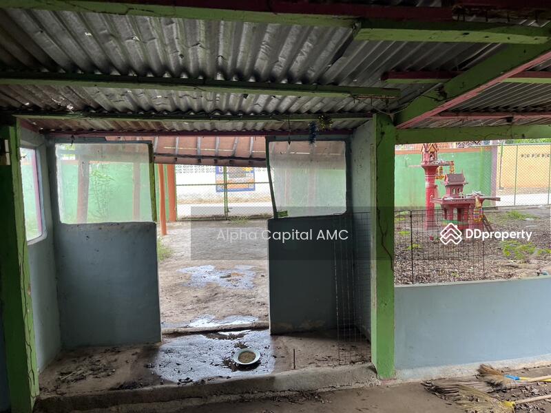 บ้านพักอาศัยครึ่งตึกครึ่งไม้ 2 ชั้น L4_1_0571_G01, สิงห์บุรี, ท่างาม, อินทร์บุรี, สิงห์บุรี, 212 ตร.ม., บ้านเดี่ยว ขาย, โดย วารุณี จำรูญนุรักษ์, 11421148 - DDproperty.com