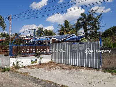 ขาย - ที่ดินพร้อมสิ่งปลูกสร้าง แยกจากถนนบ้านศรีสุวรรณ (ไร่อ้อย) พหลโยธิน (1) ต.สันติสุข อ.พาน จ.เชียงราย, เชียงราย