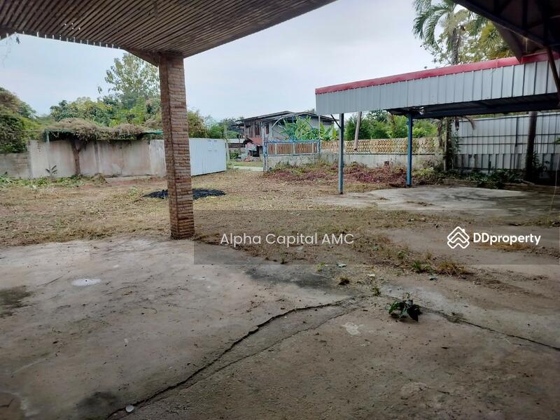 ขาย - ที่ดินพร้อมสิ่งปลูกสร้าง แยกจากถนนบ้านศรีสุวรรณ (ไร่อ้อย) พหลโยธิน (1) ต.สันติสุข อ.พาน จ.เชียงราย, เชียงราย