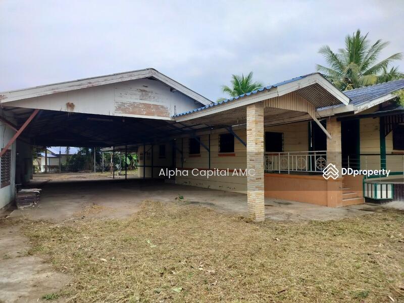 ขาย - ที่ดินพร้อมสิ่งปลูกสร้าง แยกจากถนนบ้านศรีสุวรรณ (ไร่อ้อย) พหลโยธิน (1) ต.สันติสุข อ.พาน จ.เชียงราย, เชียงราย