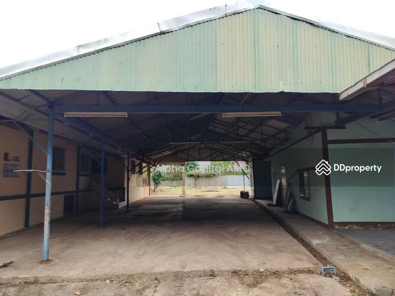 ขาย - ที่ดินพร้อมสิ่งปลูกสร้าง แยกจากถนนบ้านศรีสุวรรณ (ไร่อ้อย) พหลโยธิน (1) ต.สันติสุข อ.พาน จ.เชียงราย, เชียงราย