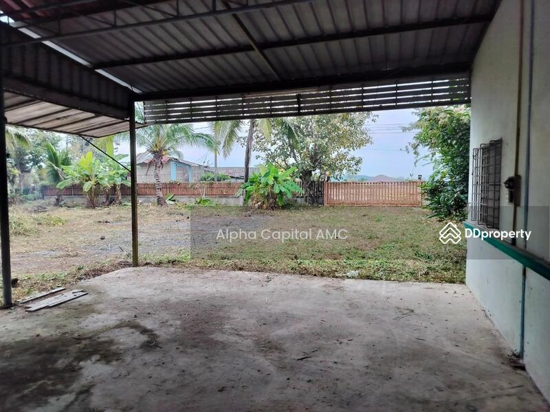 ขาย - ที่ดินพร้อมสิ่งปลูกสร้าง แยกจากถนนบ้านศรีสุวรรณ (ไร่อ้อย) พหลโยธิน (1) ต.สันติสุข อ.พาน จ.เชียงราย, เชียงราย