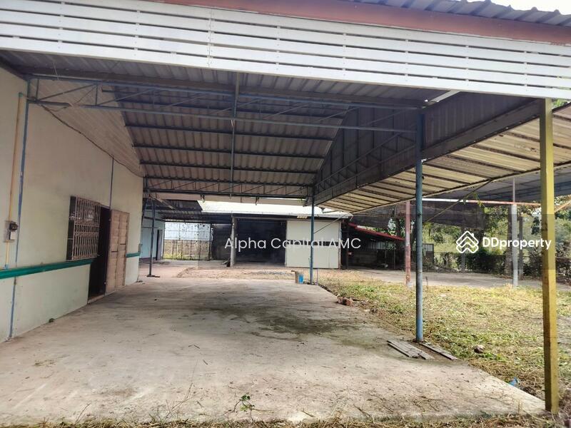 ขาย - ที่ดินพร้อมสิ่งปลูกสร้าง แยกจากถนนบ้านศรีสุวรรณ (ไร่อ้อย) พหลโยธิน (1) ต.สันติสุข อ.พาน จ.เชียงราย, เชียงราย