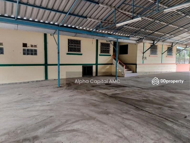 ขาย - ที่ดินพร้อมสิ่งปลูกสร้าง แยกจากถนนบ้านศรีสุวรรณ (ไร่อ้อย) พหลโยธิน (1) ต.สันติสุข อ.พาน จ.เชียงราย, เชียงราย