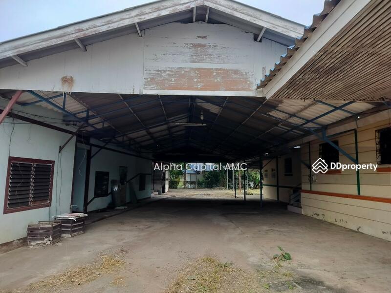 ขาย - ที่ดินพร้อมสิ่งปลูกสร้าง แยกจากถนนบ้านศรีสุวรรณ (ไร่อ้อย) พหลโยธิน (1) ต.สันติสุข อ.พาน จ.เชียงราย, เชียงราย