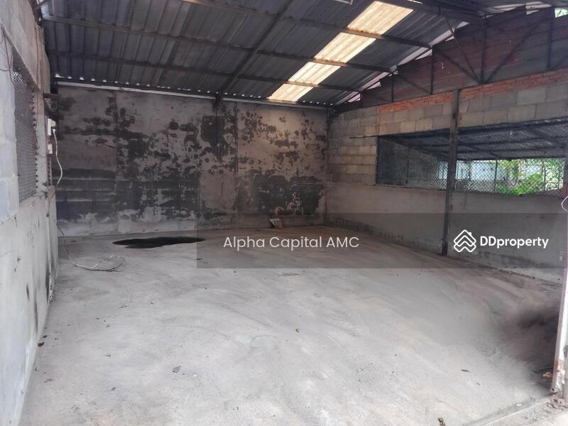 ขาย - ที่ดินพร้อมสิ่งปลูกสร้าง แยกจากถนนบ้านศรีสุวรรณ (ไร่อ้อย) พหลโยธิน (1) ต.สันติสุข อ.พาน จ.เชียงราย, เชียงราย