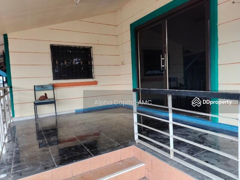 ขาย - ที่ดินพร้อมสิ่งปลูกสร้าง แยกจากถนนบ้านศรีสุวรรณ (ไร่อ้อย) พหลโยธิน (1) ต.สันติสุข อ.พาน จ.เชียงราย, เชียงราย