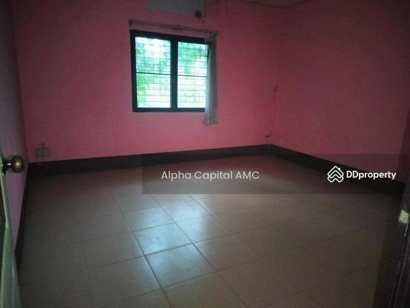 ขาย - ที่ดินพร้อมสิ่งปลูกสร้าง แยกจากถนนบ้านศรีสุวรรณ (ไร่อ้อย) พหลโยธิน (1) ต.สันติสุข อ.พาน จ.เชียงราย, เชียงราย