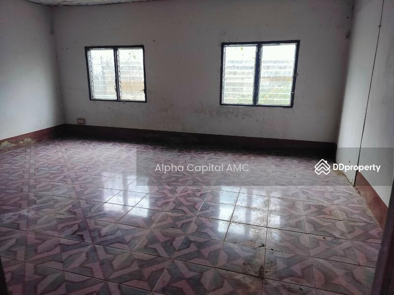 ขาย - ที่ดินพร้อมสิ่งปลูกสร้าง แยกจากถนนบ้านศรีสุวรรณ (ไร่อ้อย) พหลโยธิน (1) ต.สันติสุข อ.พาน จ.เชียงราย, เชียงราย