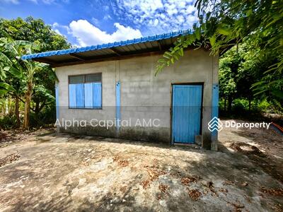 ขาย - ขายที่พักอาศัยชั้นเดียว L4_2_0394_G01_C002, ปราจีนบุรี