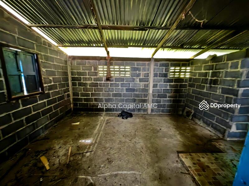 ขายที่พักอาศัยชั้นเดียว L4_2_0394_G01_C002, ปราจีนบุรี, 107/2 หมู่ 6 ถนนเทศบาล 2, กบินทร์, กบินทร์บุรี, ปราจีนบุรี, 205 ตร.ม., บ้านเดี่ยว ขาย, โดย Alpha Capital AMC, 11421988 - DDproperty.com