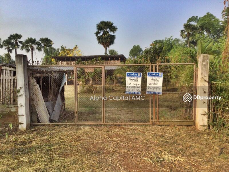 Sale Land with Building 1-ST wooden house under stills L4_5_0602_G01, Lampang, 101/1 บ้านต้นค่า ถนนห้างฉัตร-เกาะคา (1034), Pong Yang Khok, Hang Chat, Lampang, 2 Bedrooms, 417 sqm, Single Detached House For Sale, by วารุณี จำรูญนุรักษ์, 11422173 - DDproperty.com