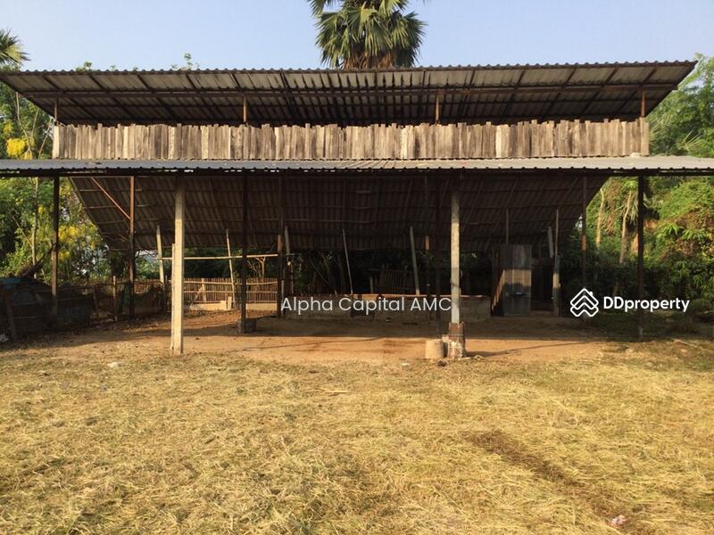 ขายที่ดิน พร้อมสิ่งปลูกสร้างไม้ใต้ถุนสูงชั้นเดียว L4_5_0602_G01, ลำปาง, 101/1 บ้านต้นค่า ถนนห้างฉัตร-เกาะคา (1034), ปงยางคก, ห้างฉัตร, ลำปาง, 417 ตร.ม., บ้านเดี่ยว ขาย, โดย วารุณี จำรูญนุรักษ์, 11422173 - DDproperty.com