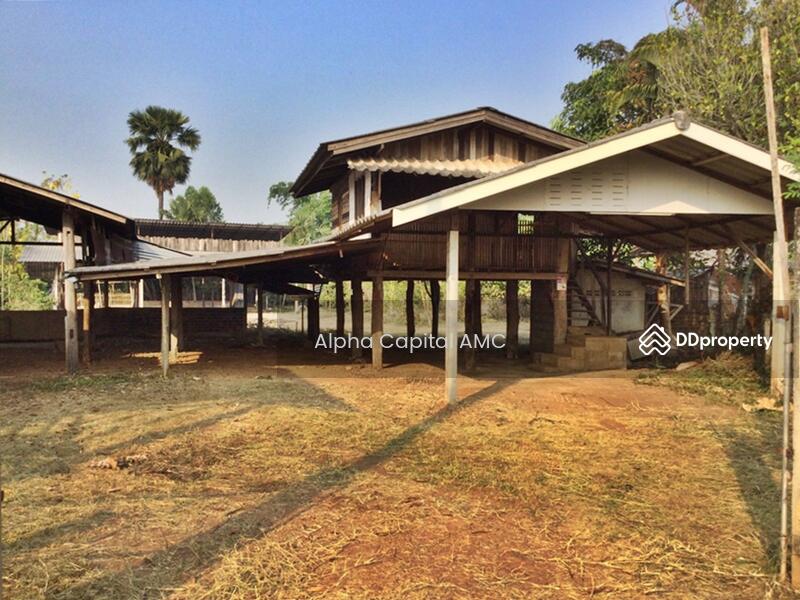 ขายที่ดิน พร้อมสิ่งปลูกสร้างไม้ใต้ถุนสูงชั้นเดียว L4_5_0602_G01, ลำปาง, 101/1 บ้านต้นค่า ถนนห้างฉัตร-เกาะคา (1034), ปงยางคก, ห้างฉัตร, ลำปาง, 417 ตร.ม., บ้านเดี่ยว ขาย, โดย วารุณี จำรูญนุรักษ์, 11422173 - DDproperty.com