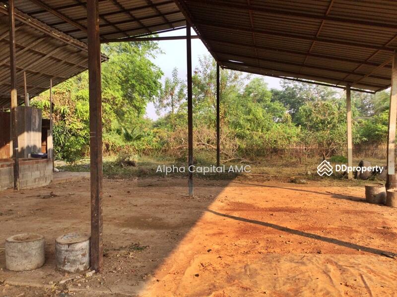 Sale Land with Building 1-ST wooden house under stills L4_5_0602_G01, Lampang, 101/1 บ้านต้นค่า ถนนห้างฉัตร-เกาะคา (1034), Pong Yang Khok, Hang Chat, Lampang, 2 Bedrooms, 417 sqm, Single Detached House For Sale, by วารุณี จำรูญนุรักษ์, 11422173 - DDproperty.com