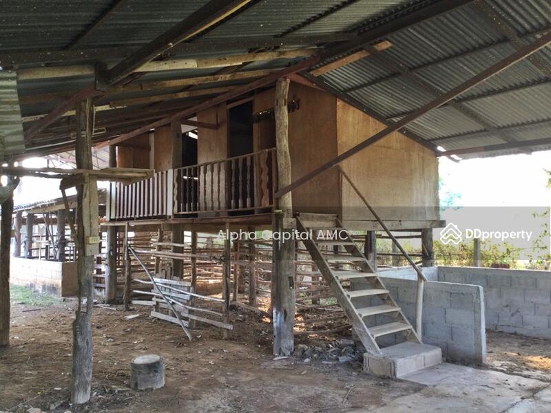 Sale Land with Building 1-ST wooden house under stills L4_5_0602_G01, Lampang, 101/1 บ้านต้นค่า ถนนห้างฉัตร-เกาะคา (1034), Pong Yang Khok, Hang Chat, Lampang, 2 Bedrooms, 417 sqm, Single Detached House For Sale, by วารุณี จำรูญนุรักษ์, 11422173 - DDproperty.com