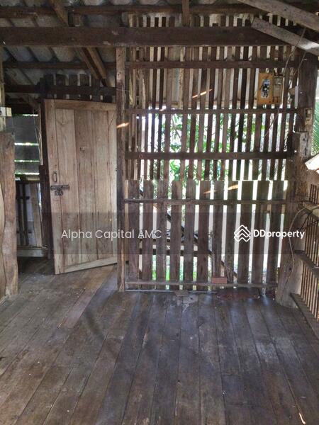 Sale Land with Building 1-ST wooden house under stills L4_5_0602_G01, Lampang, 101/1 บ้านต้นค่า ถนนห้างฉัตร-เกาะคา (1034), Pong Yang Khok, Hang Chat, Lampang, 2 Bedrooms, 417 sqm, Single Detached House For Sale, by วารุณี จำรูญนุรักษ์, 11422173 - DDproperty.com