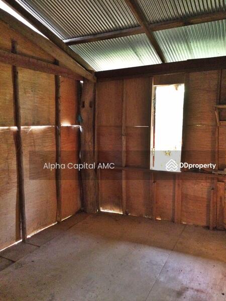 Sale Land with Building 1-ST wooden house under stills L4_5_0602_G01, Lampang, 101/1 บ้านต้นค่า ถนนห้างฉัตร-เกาะคา (1034), Pong Yang Khok, Hang Chat, Lampang, 2 Bedrooms, 417 sqm, Single Detached House For Sale, by วารุณี จำรูญนุรักษ์, 11422173 - DDproperty.com