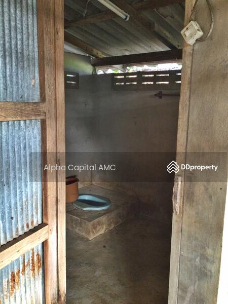 Sale Land with Building 1-ST wooden house under stills L4_5_0602_G01, Lampang, 101/1 บ้านต้นค่า ถนนห้างฉัตร-เกาะคา (1034), Pong Yang Khok, Hang Chat, Lampang, 2 Bedrooms, 417 sqm, Single Detached House For Sale, by วารุณี จำรูญนุรักษ์, 11422173 - DDproperty.com