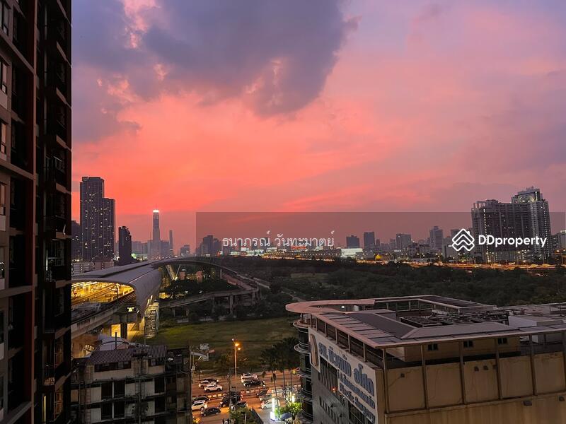Life Asoke : ไลฟ์ อโศก, กรุงเทพ, ถนนอโศก-ดินแดง แขวงบางกะปิ เขตห้วยขวาง กทม., บางกะปิ, ห้วยขวาง, กรุงเทพ, 35 ตร.ม., คอนโด ให้เช่า, โดย ธนาภรณ์ วันทะมาตย์, 11423163 - DDproperty.com