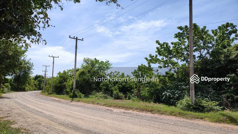 For Sale - Land for sale, 15 rai, Ban Nong Yai Kata, Road 3207, Hin Kong, Mueang, Ratchaburi., Ratchaburi