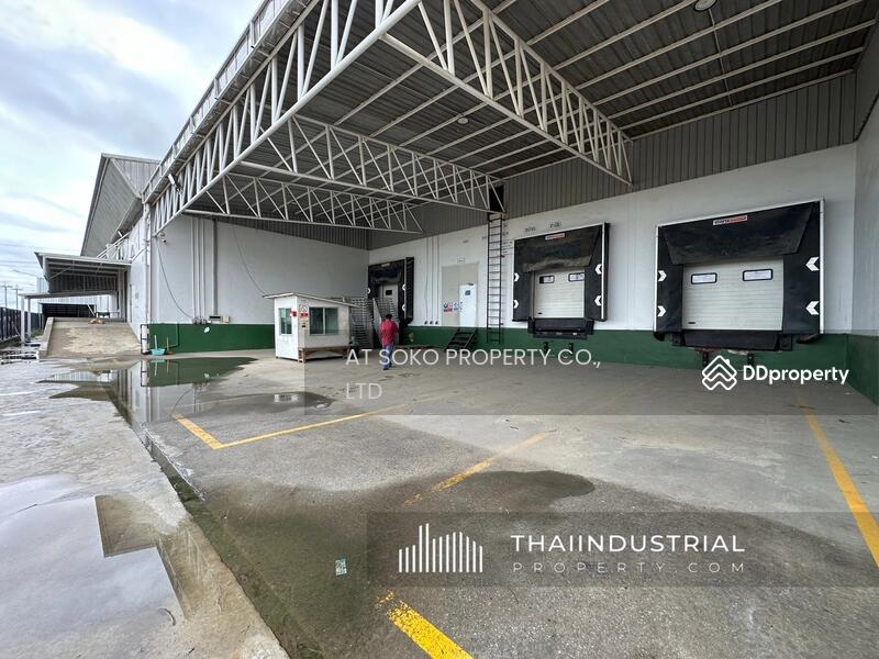 โกดังให้เช่า โรงงานให้เช่า ขายโกดัง ขายโรงงาน 4000 ตรม บางเพรียง, บางบ่อ, สมุทรปราการ (ID: AT1630SR), สมุทรปราการ, บางเพรียง, บางบ่อ, สมุทรปราการ, 4,000 ตร.ม., โกดัง-โรงงาน ให้เช่า, โดย AT SOKO PROPERTY CO., LTD, 11423529 - DDproperty.com