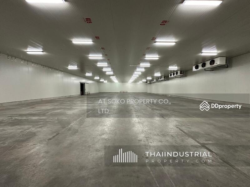 Factory or Warehouse 4000 sqm for SALE or RENT at Bang Phriang, Bang Bo, Samut Prakan (ID: AT1630SR), Samut Prakan, Bang Phriang, Bang Bo, Samut Prakan, , 4,000 sqm, Warehouse/Factory For Rent, by AT SOKO PROPERTY CO., LTD, 11423529 - DDproperty.com