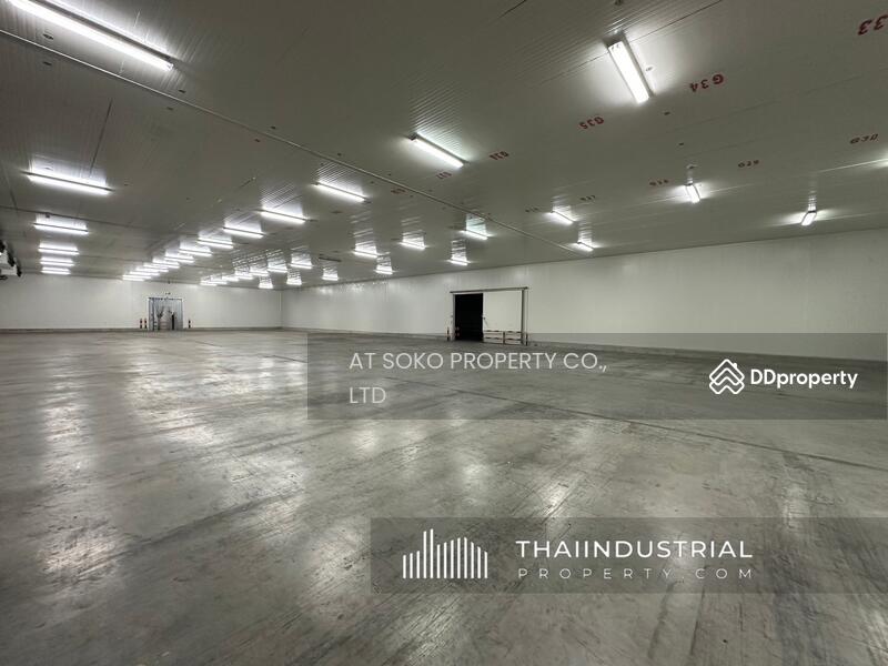 Factory or Warehouse 4000 sqm for SALE or RENT at Bang Phriang, Bang Bo, Samut Prakan (ID: AT1630SR), Samut Prakan, Bang Phriang, Bang Bo, Samut Prakan, , 4,000 sqm, Warehouse/Factory For Rent, by AT SOKO PROPERTY CO., LTD, 11423529 - DDproperty.com