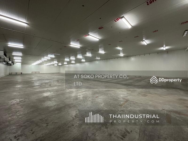 Factory or Warehouse 4000 sqm for SALE or RENT at Bang Phriang, Bang Bo, Samut Prakan (ID: AT1630SR), Samut Prakan, Bang Phriang, Bang Bo, Samut Prakan, , 4,000 sqm, Warehouse/Factory For Rent, by AT SOKO PROPERTY CO., LTD, 11423529 - DDproperty.com